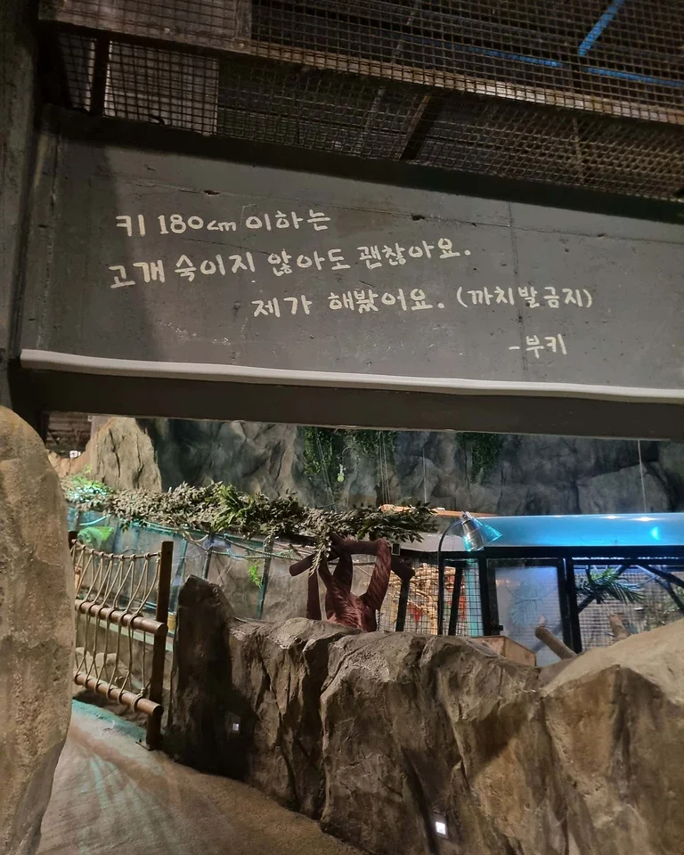 슬라이더 이미지