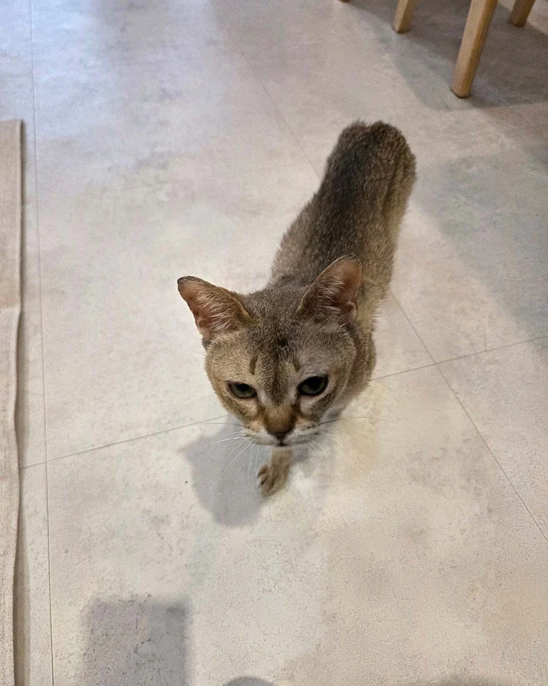 슬라이더 이미지