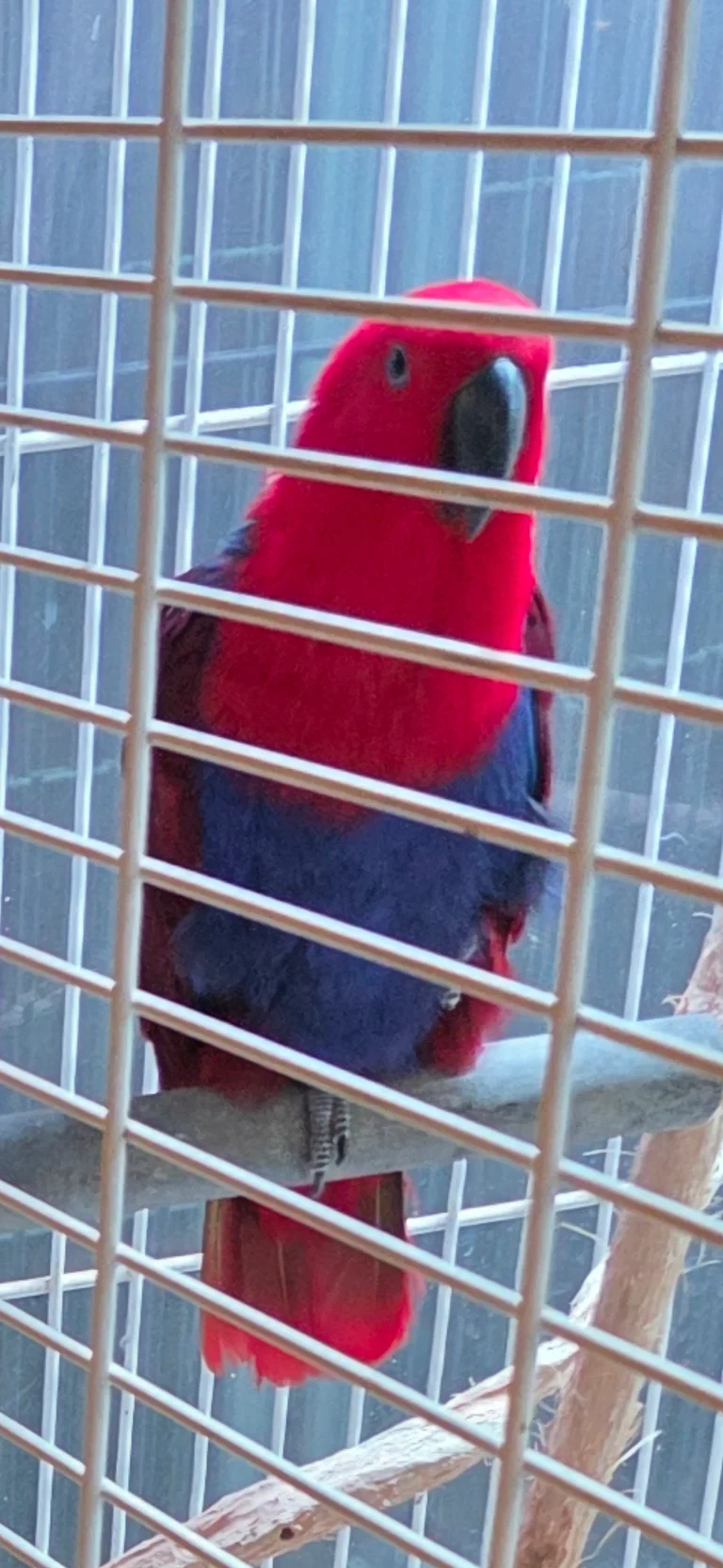 슬라이더 이미지