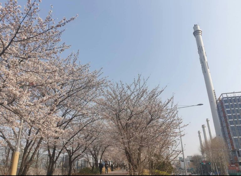 슬라이더 이미지
