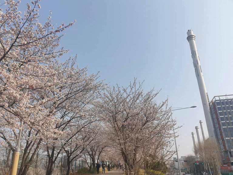 슬라이더 이미지