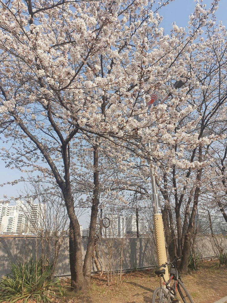 슬라이더 이미지