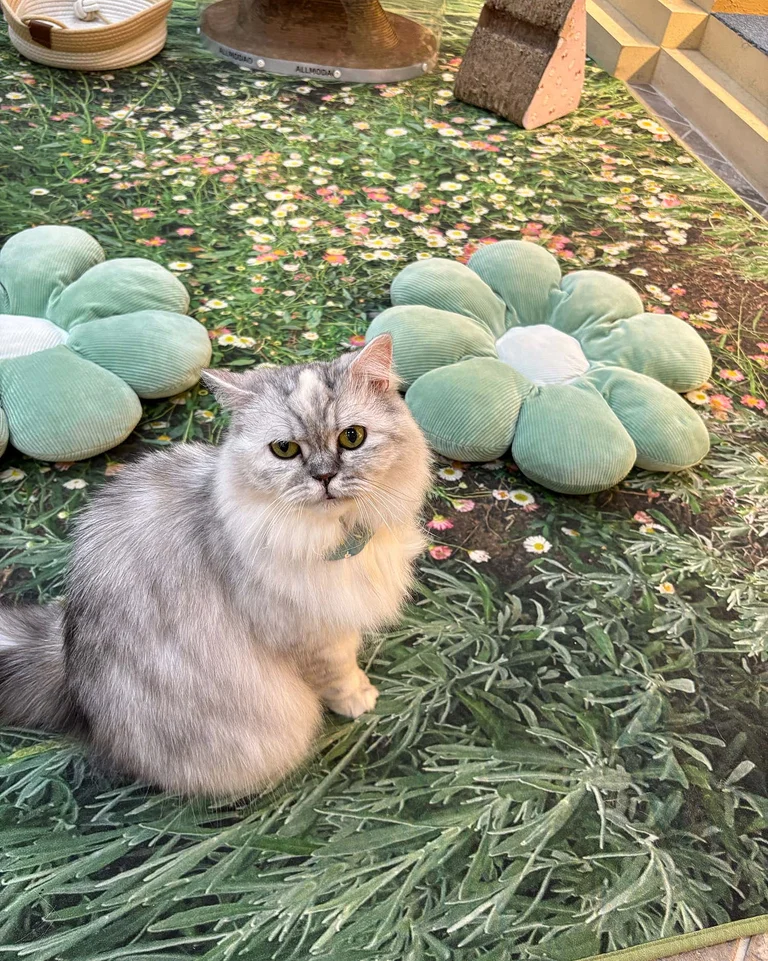 슬라이더 이미지