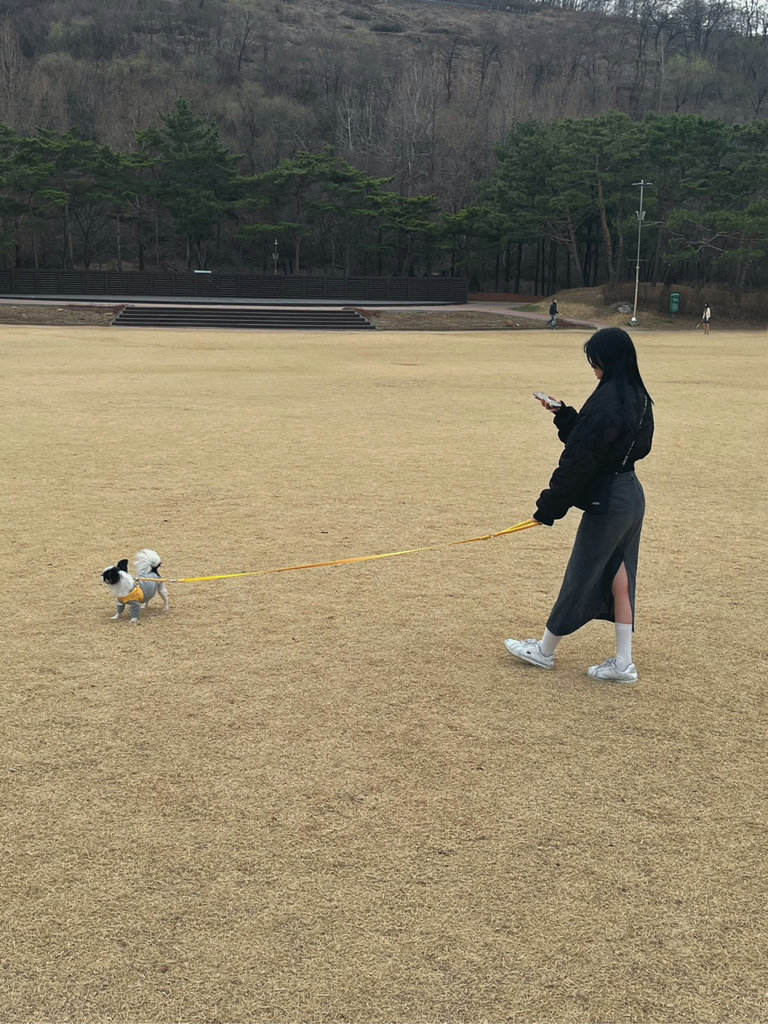 슬라이더 이미지