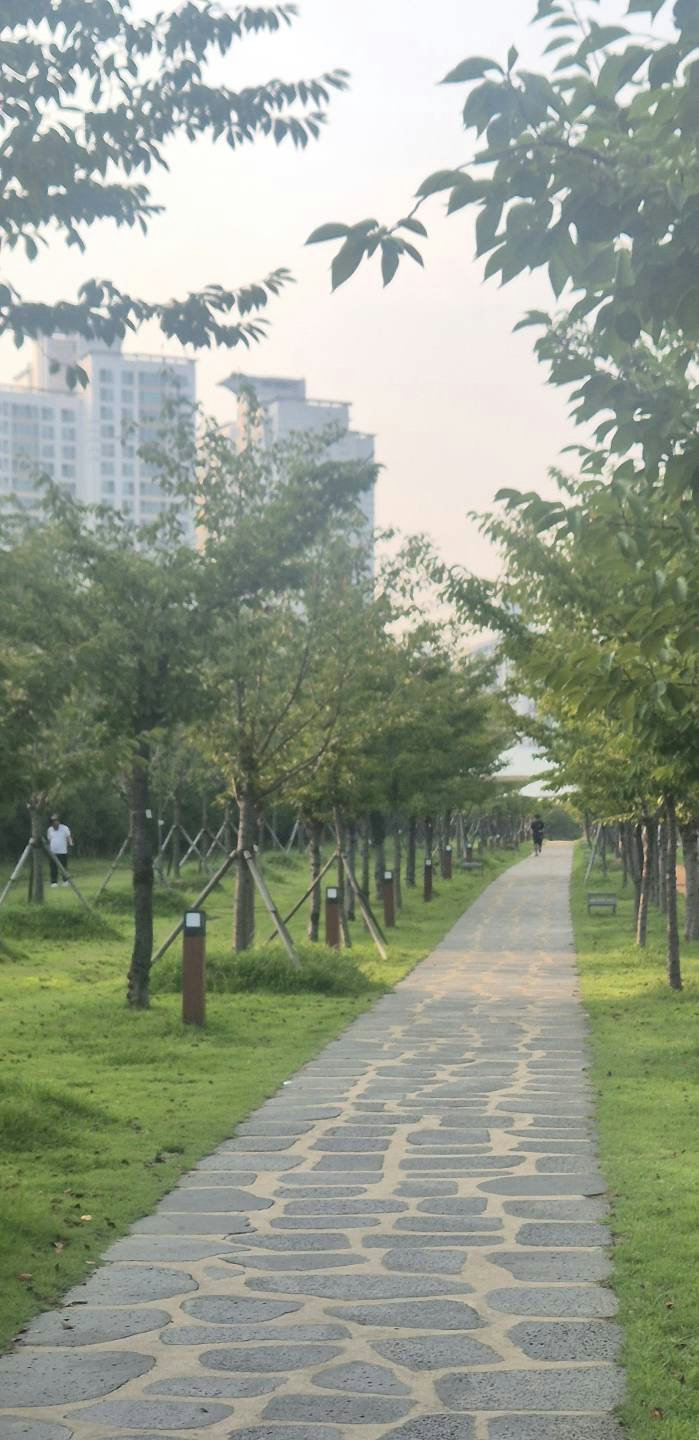 슬라이더 이미지
