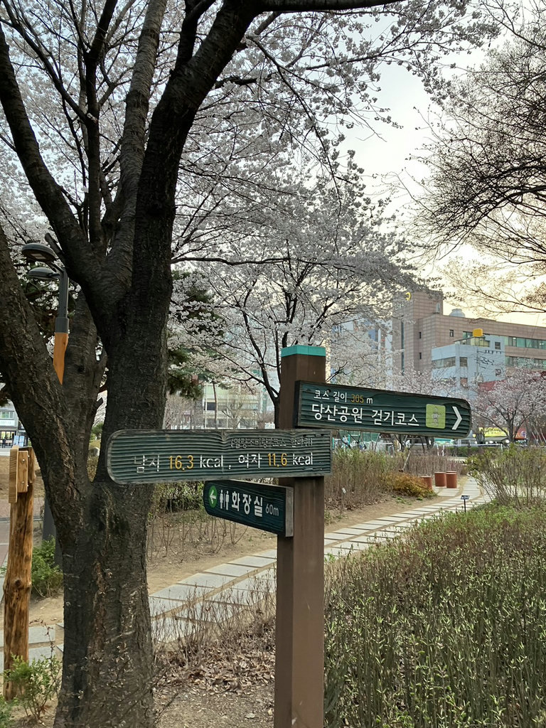 슬라이더 이미지