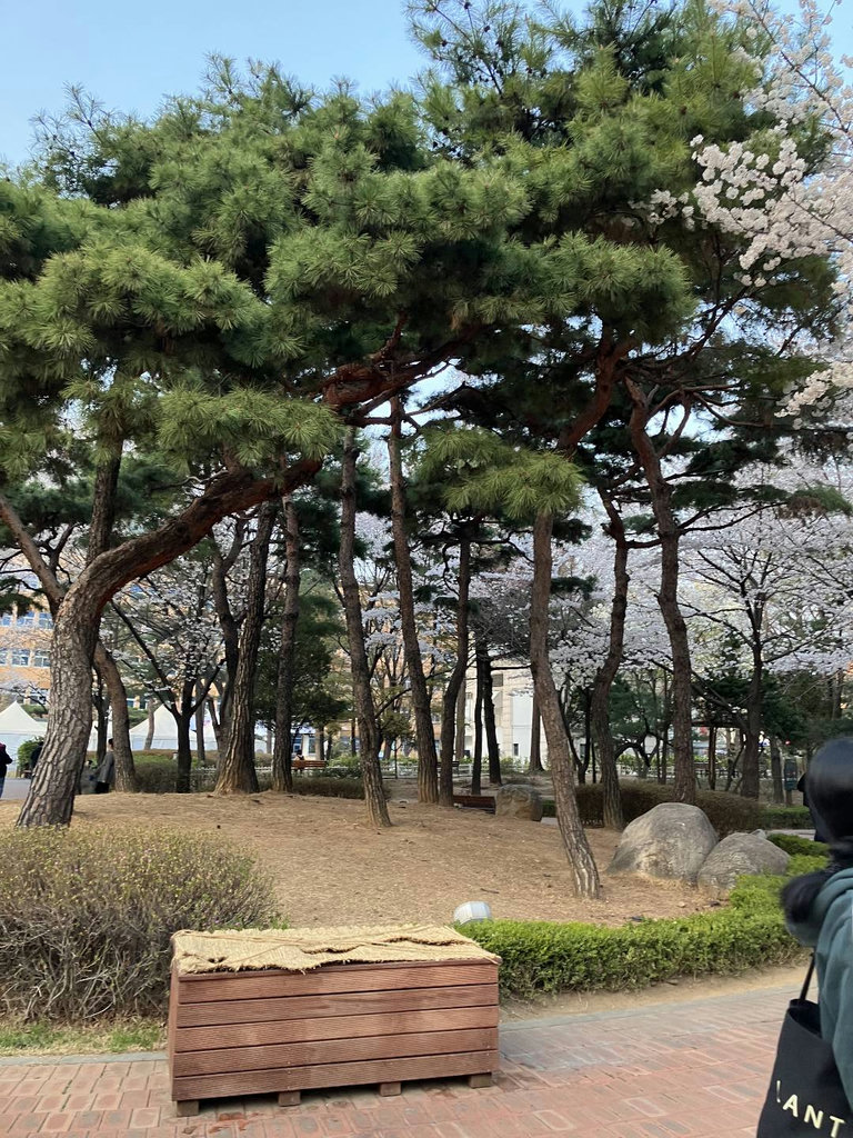 슬라이더 이미지