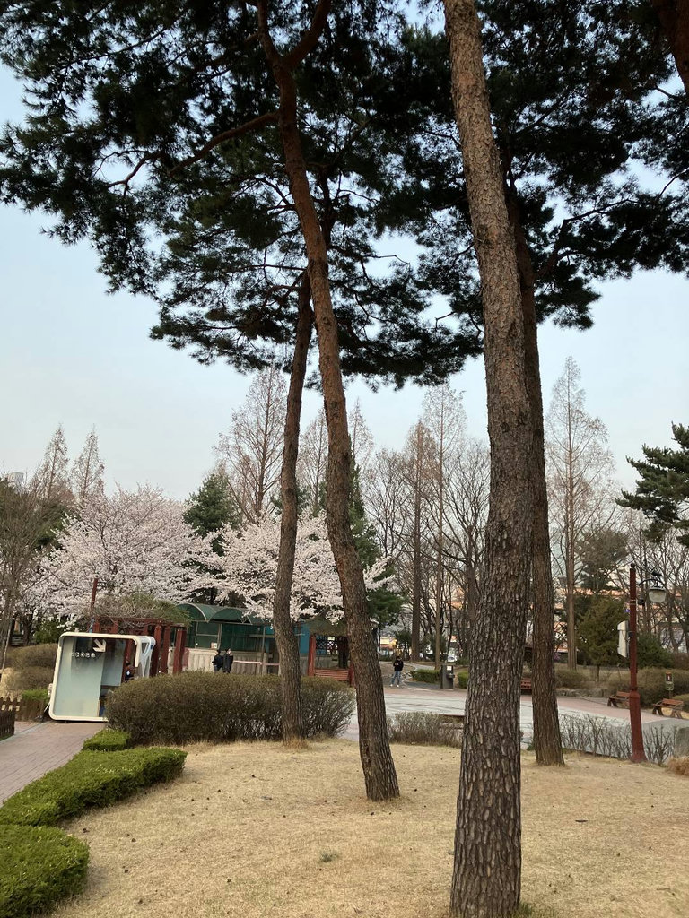 슬라이더 이미지