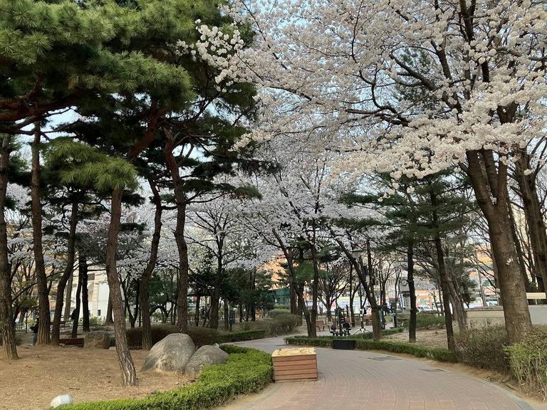 슬라이더 이미지