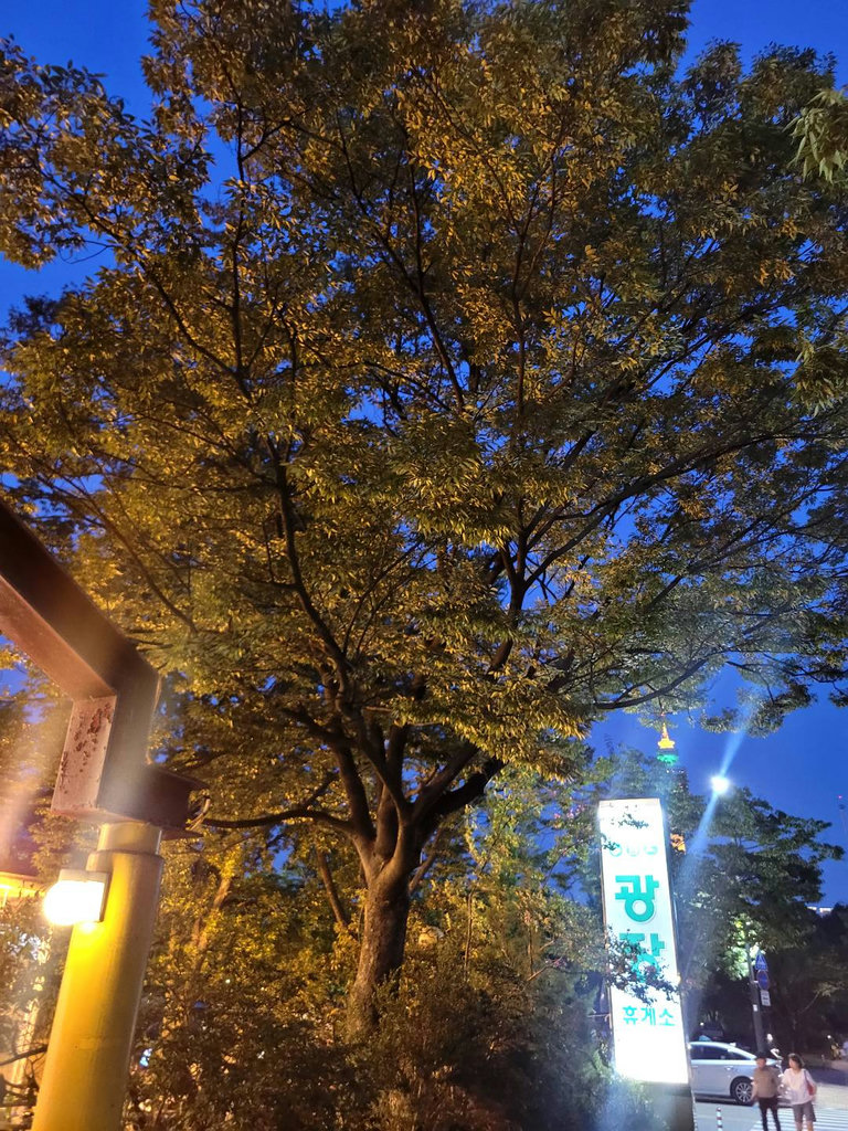 슬라이더 이미지
