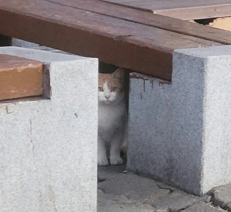 슬라이더 이미지