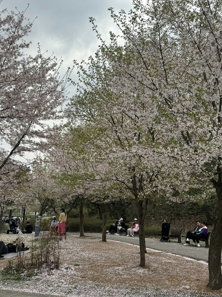 슬라이더 이미지