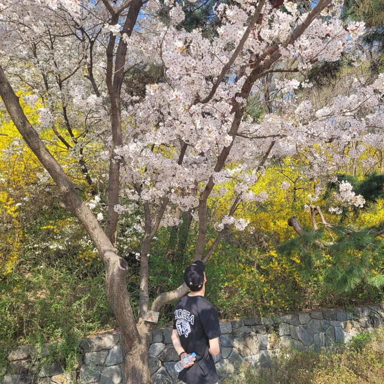 슬라이더 이미지