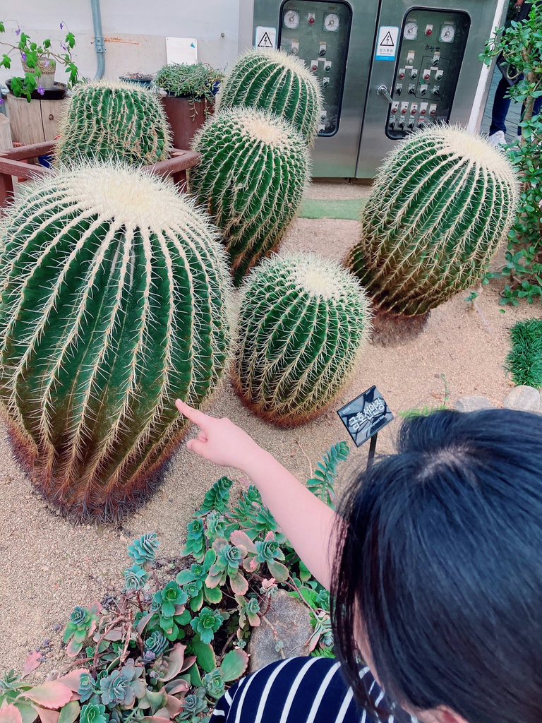 슬라이더 이미지