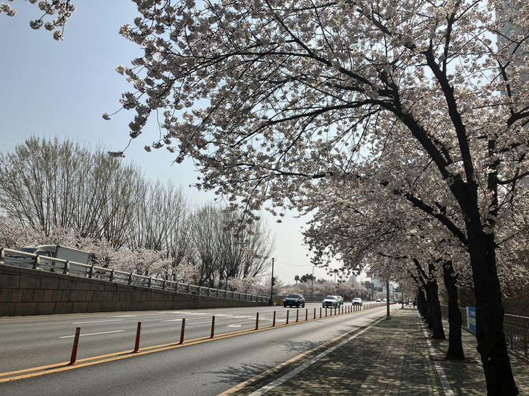 슬라이더 이미지