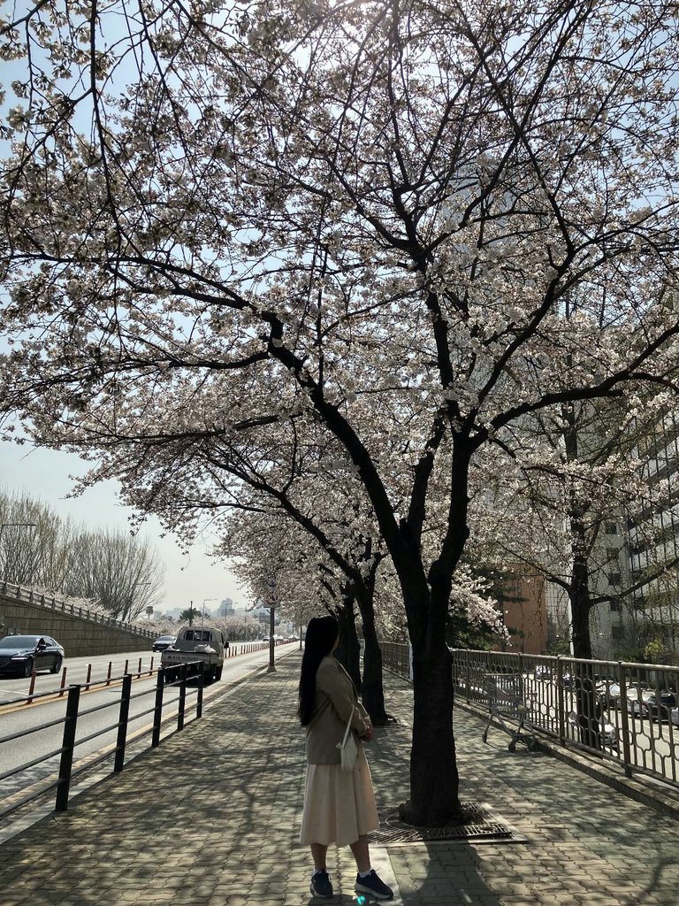 슬라이더 이미지