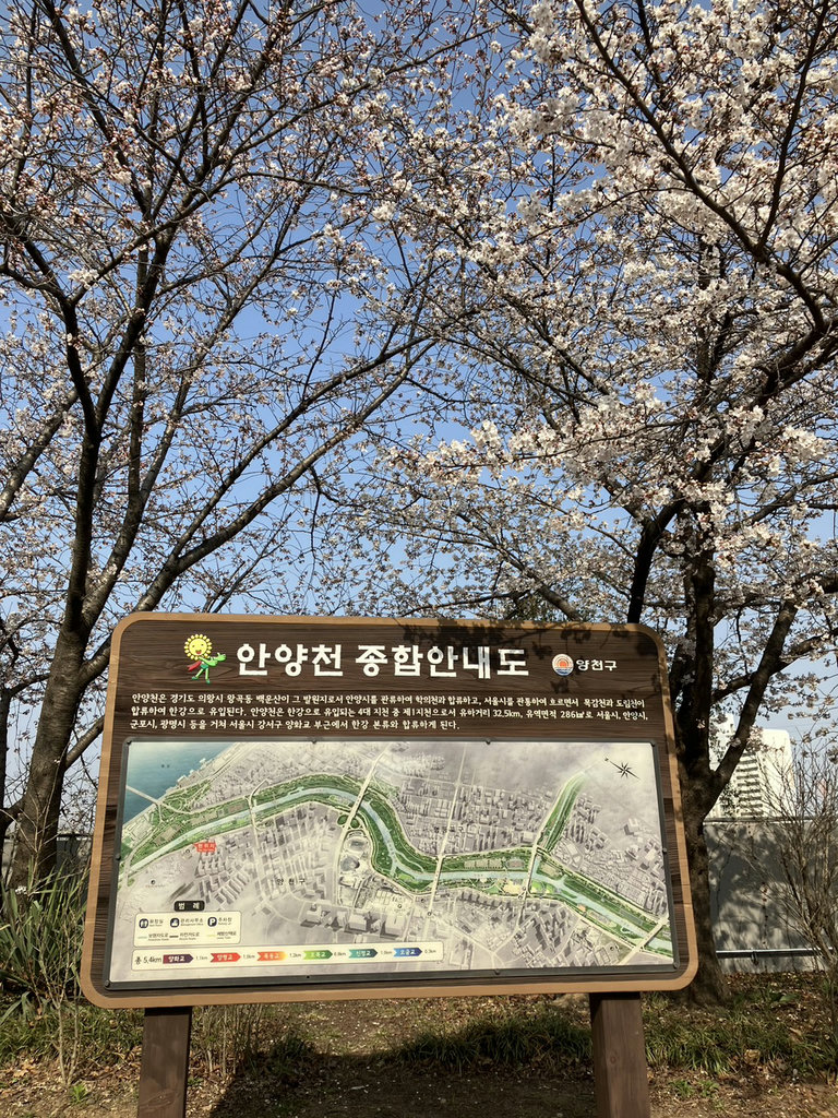 슬라이더 이미지