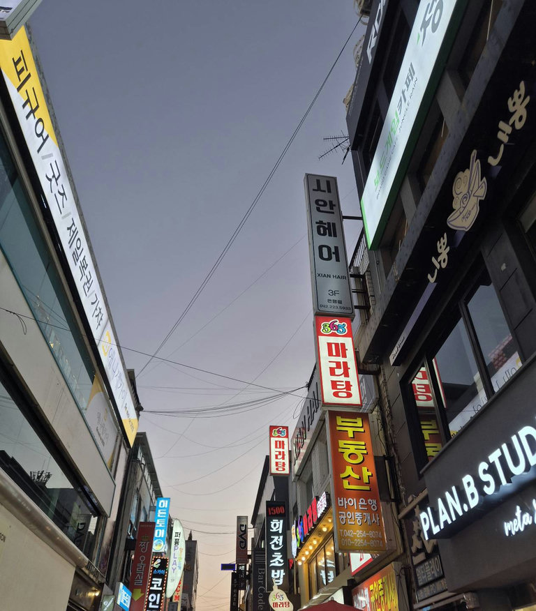 슬라이더 이미지