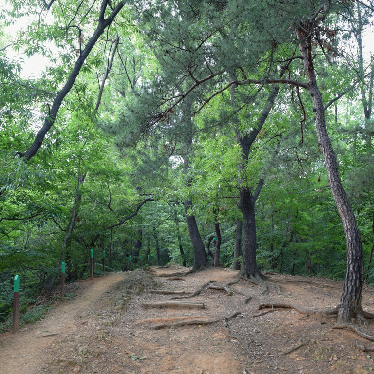 슬라이더 이미지