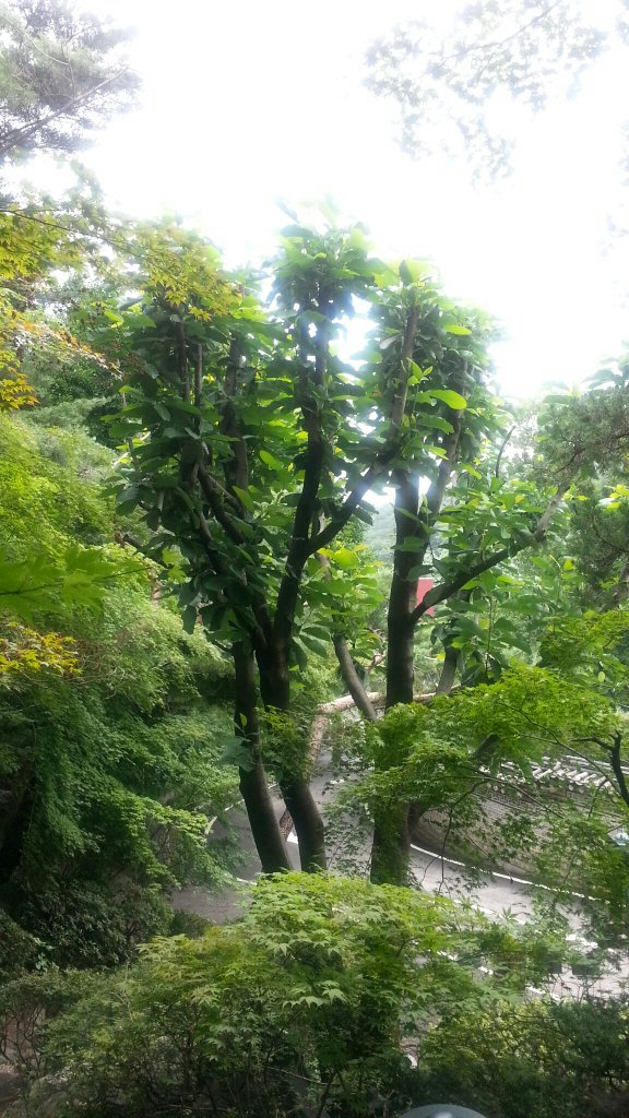 슬라이더 이미지
