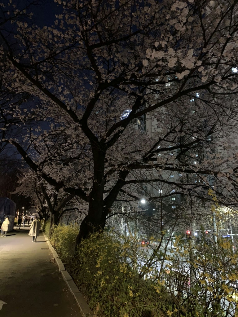 슬라이더 이미지