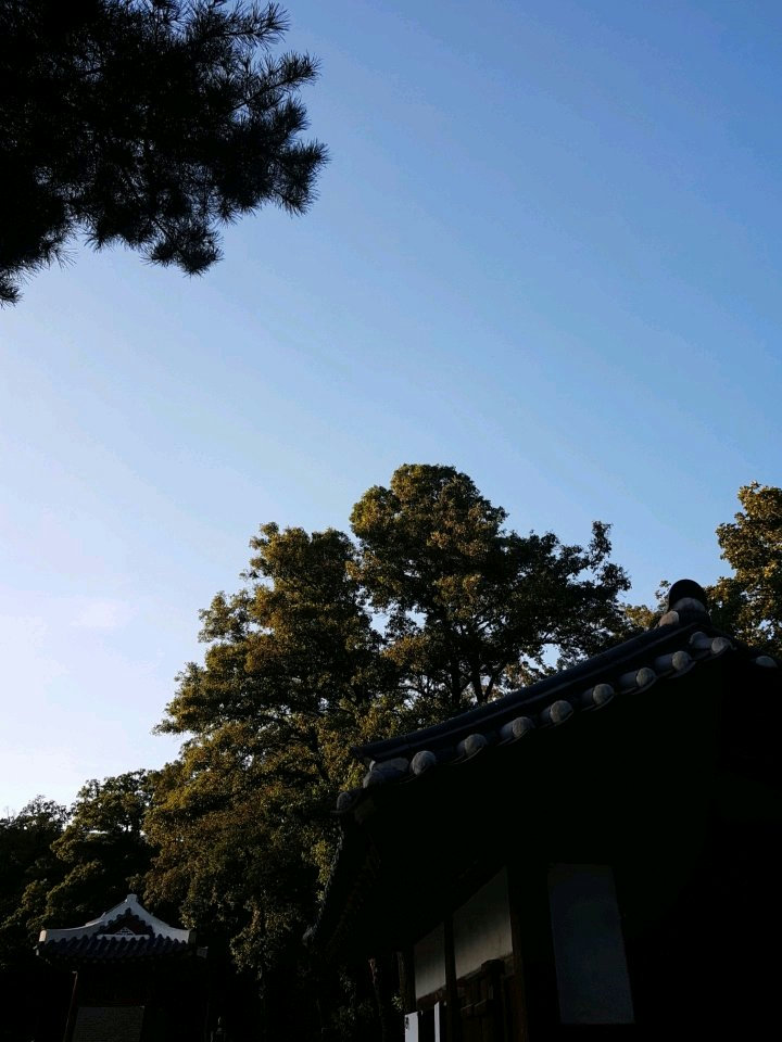 슬라이더 이미지