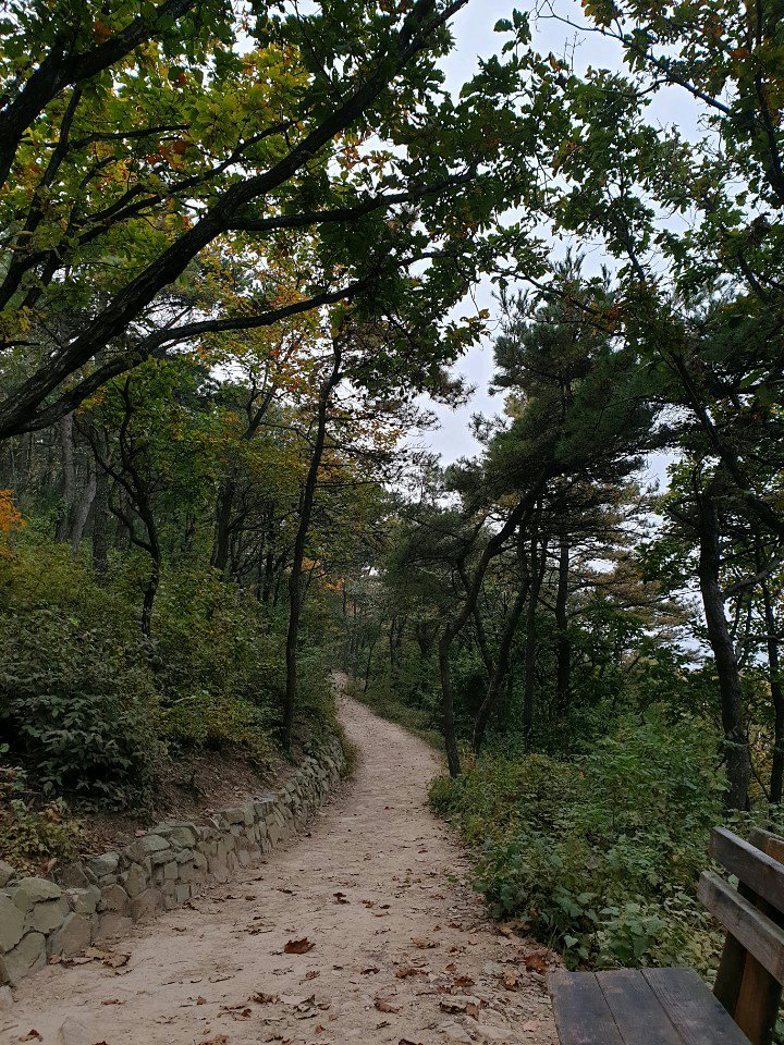 슬라이더 이미지