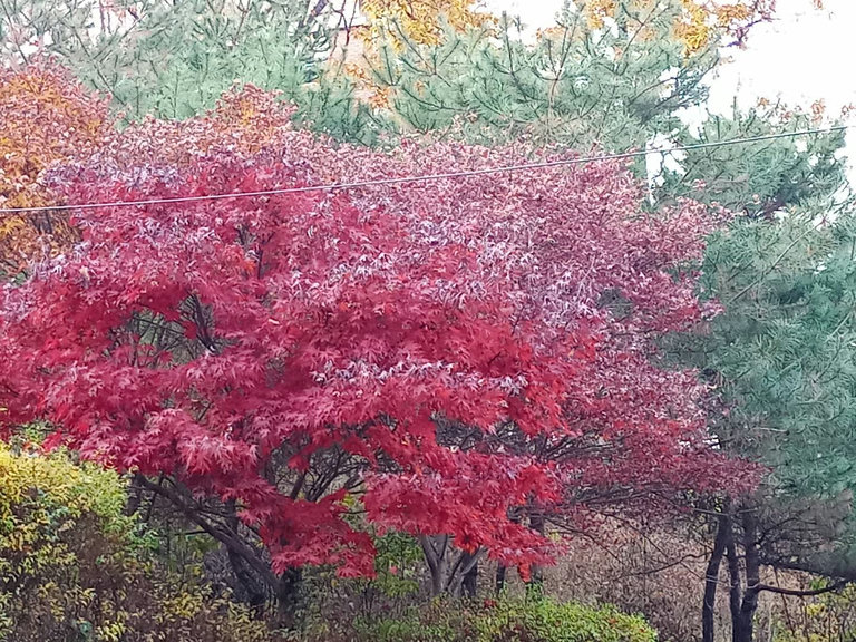 슬라이더 이미지