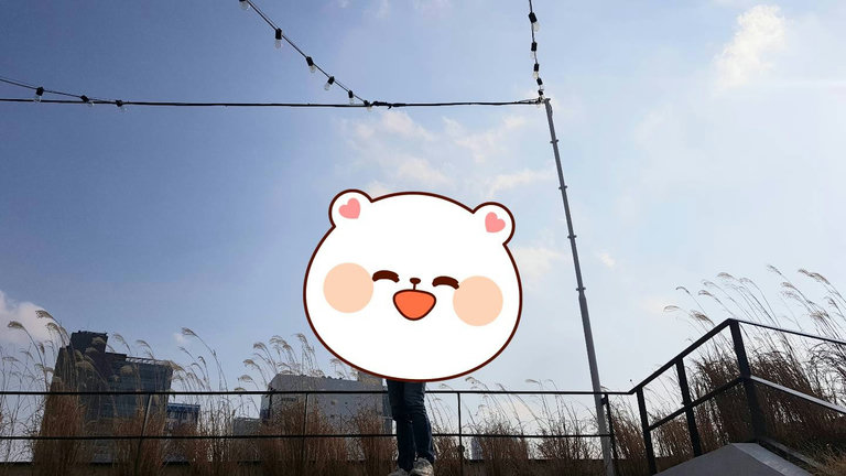 슬라이더 이미지