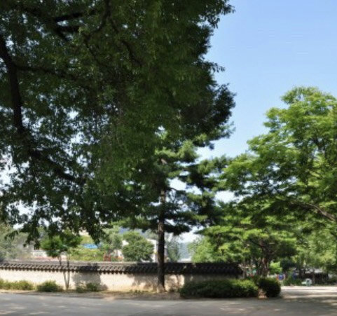 슬라이더 이미지
