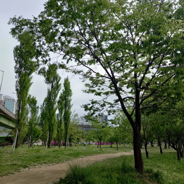 슬라이더 이미지