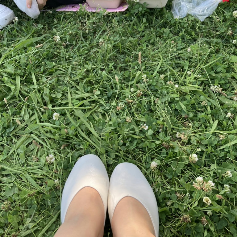 슬라이더 이미지
