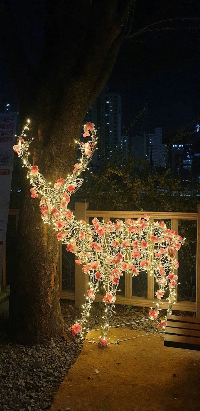 슬라이더 이미지