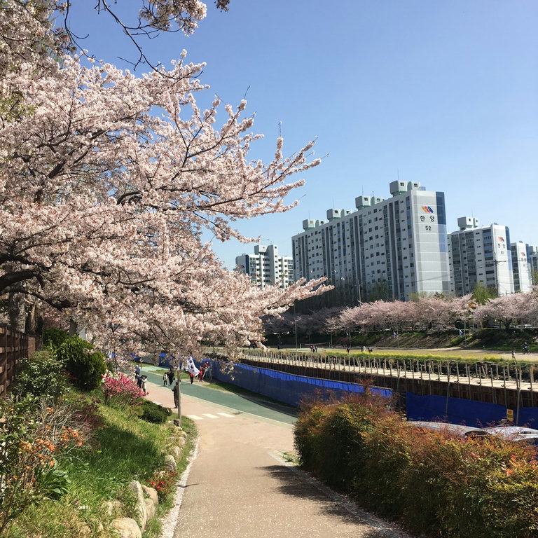 슬라이더 이미지