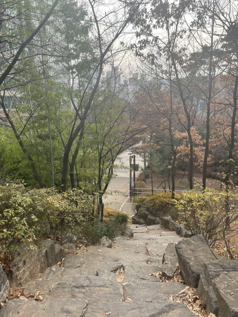 슬라이더 이미지