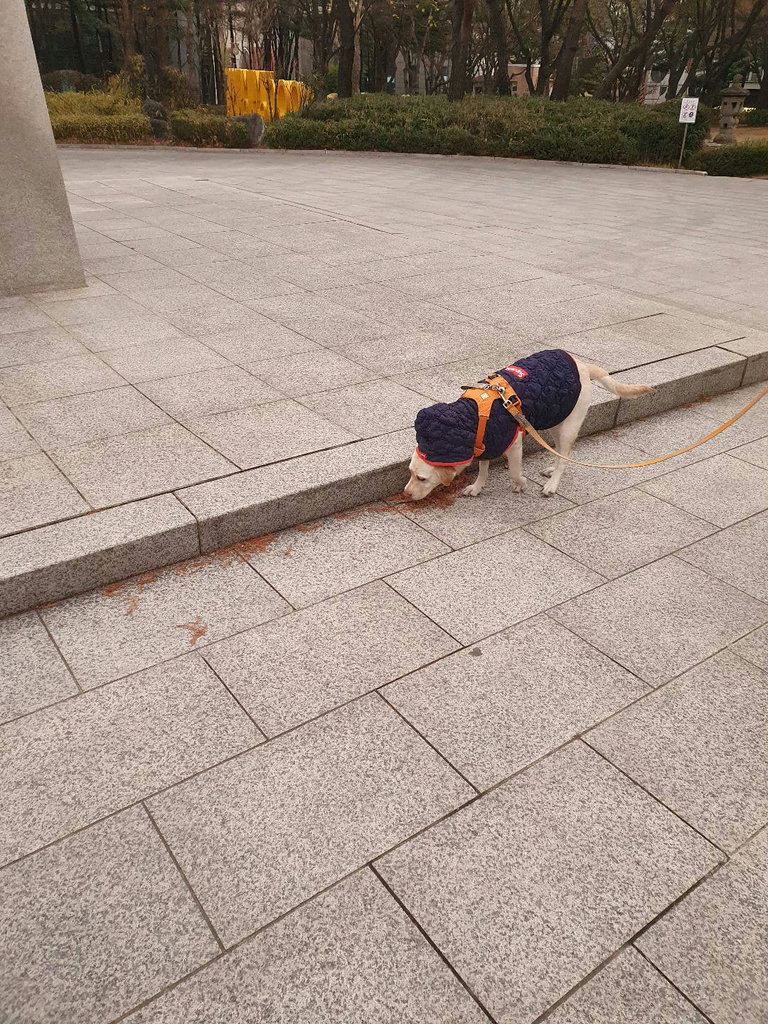 슬라이더 이미지