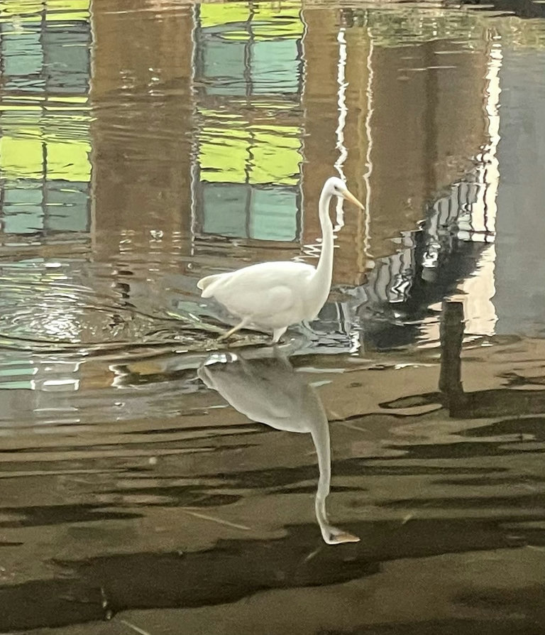 슬라이더 이미지