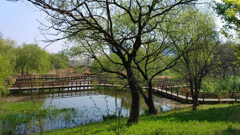 슬라이더 이미지