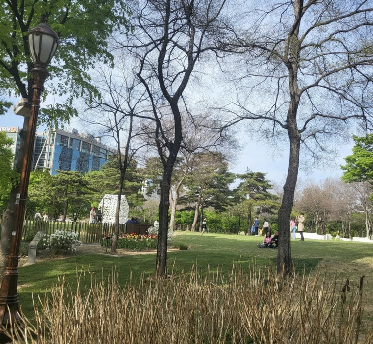 슬라이더 이미지