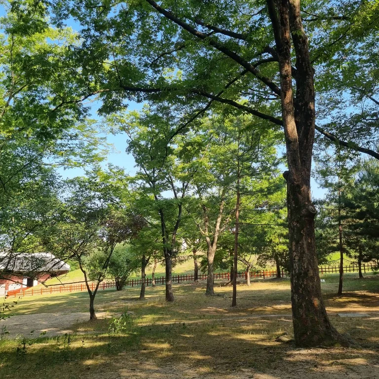 슬라이더 이미지