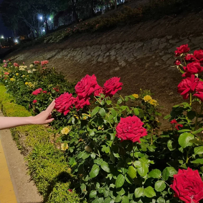 슬라이더 이미지
