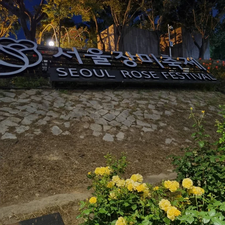 슬라이더 이미지