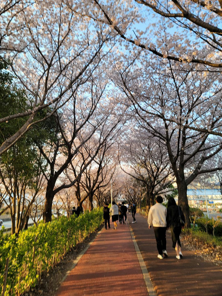 슬라이더 이미지