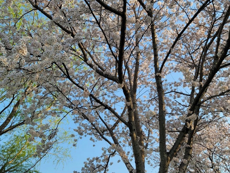슬라이더 이미지
