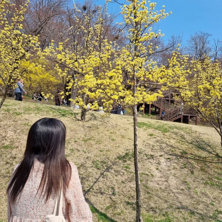 슬라이더 이미지