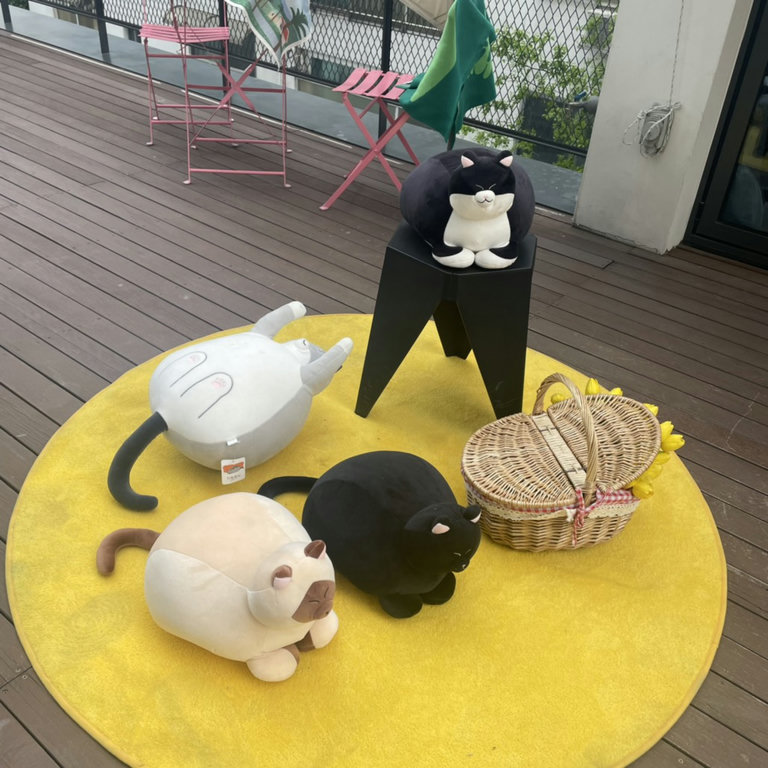 슬라이더 이미지