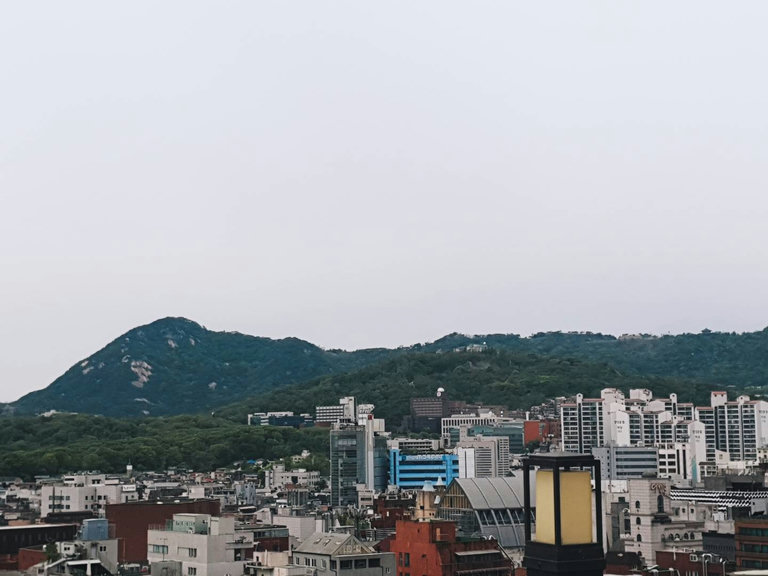 슬라이더 이미지
