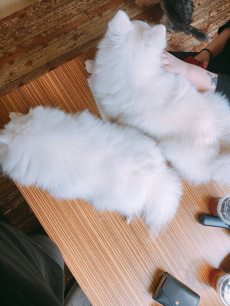슬라이더 이미지