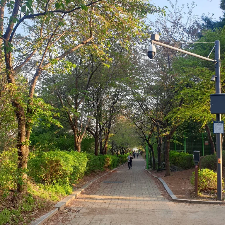 슬라이더 이미지