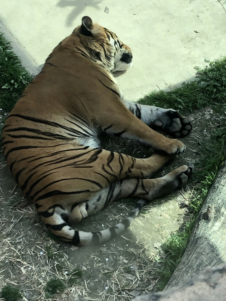 슬라이더 이미지